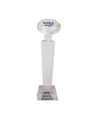 Brand of the year Award 2006