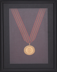 Gold Medal Award 2009-2010