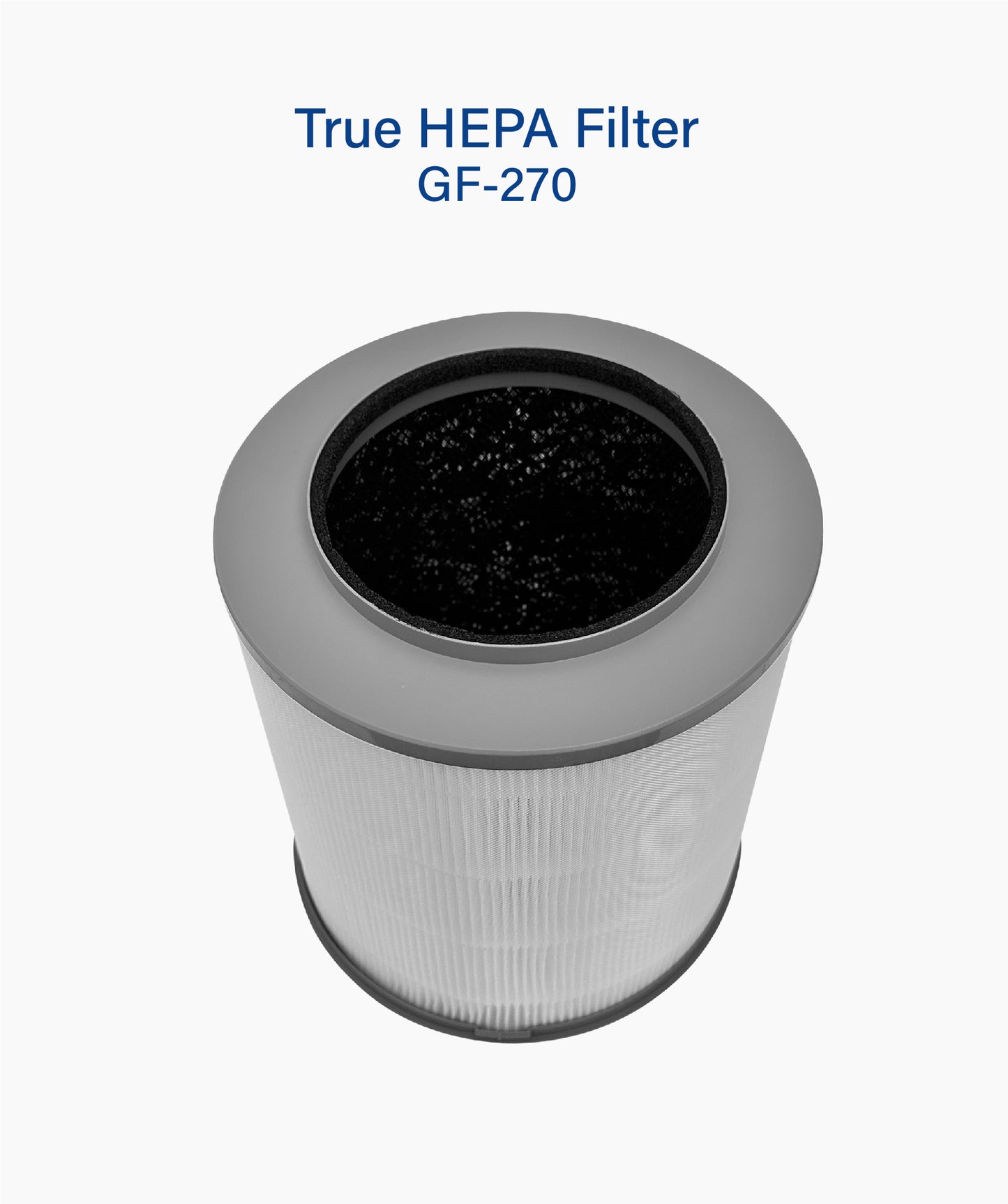 True Hepa Filter (GF-270)