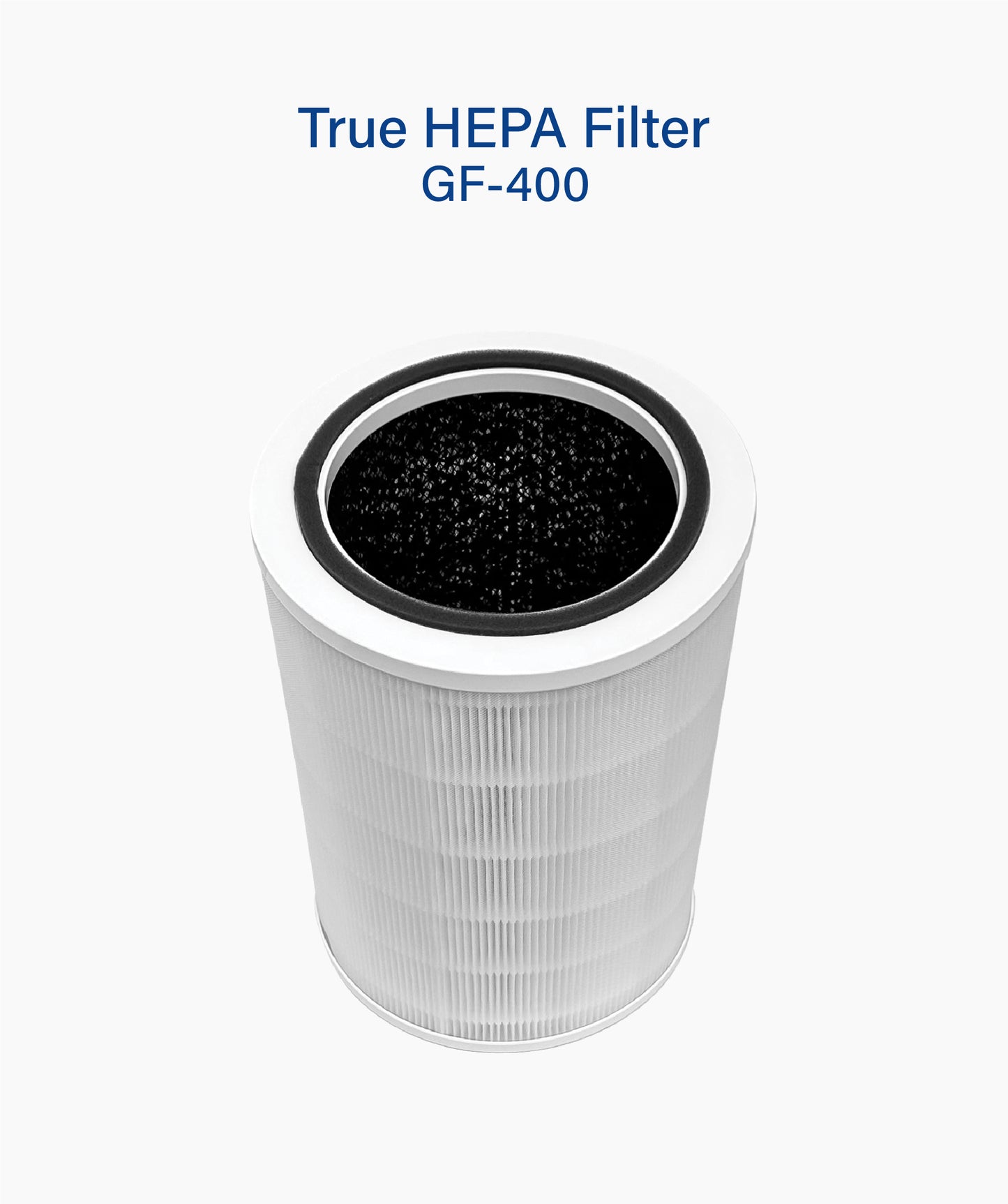 True Hepa Filter (GF-400)