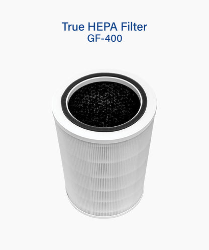 True Hepa Filter (GF-400)