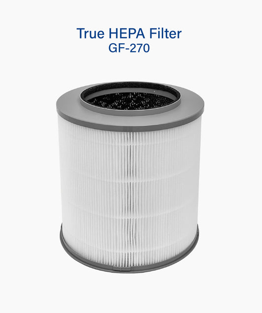 True Hepa Filter (GF-270)