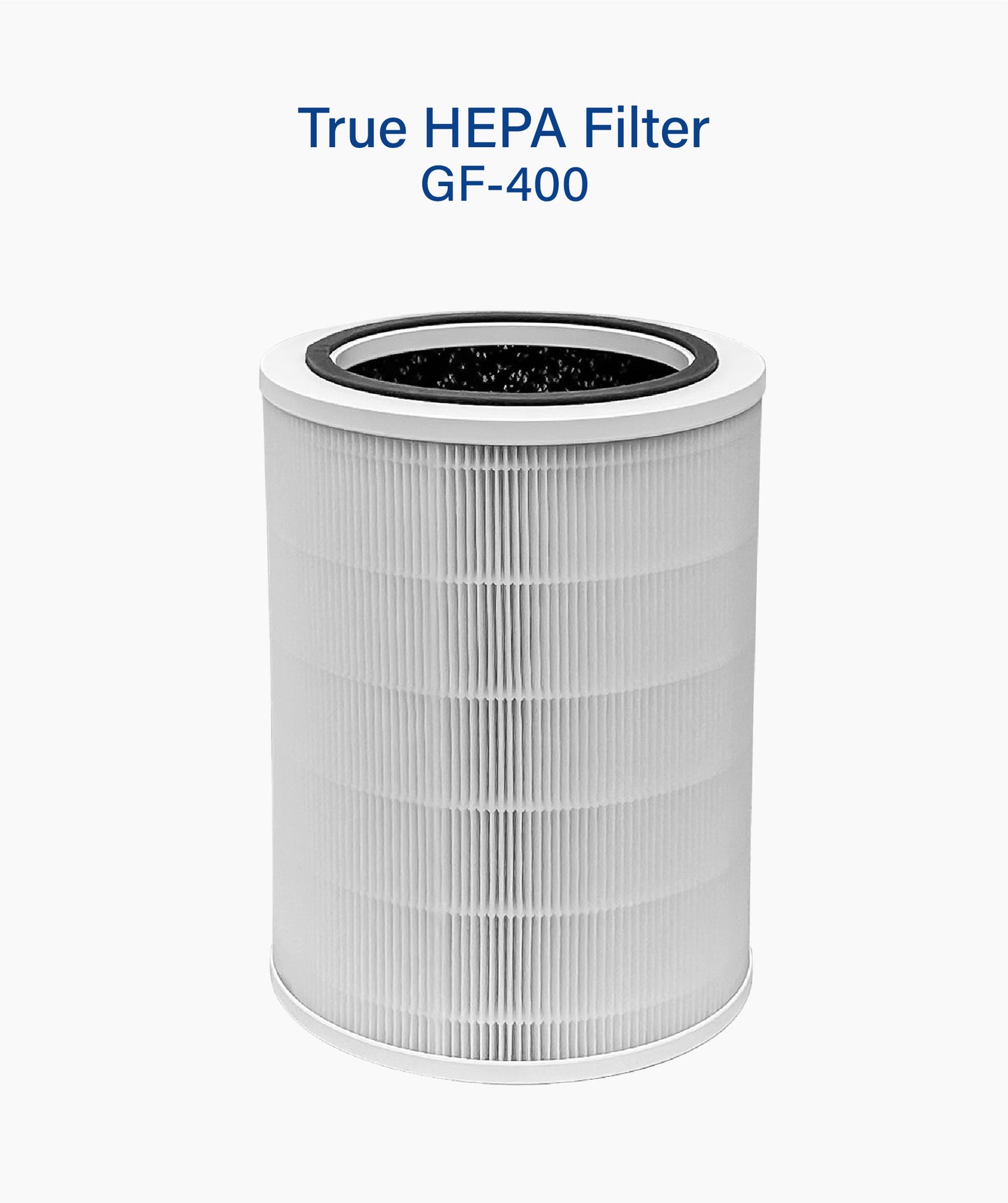 True Hepa Filter (GF-400)