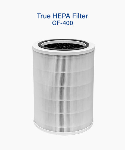 True Hepa Filter (GF-400)