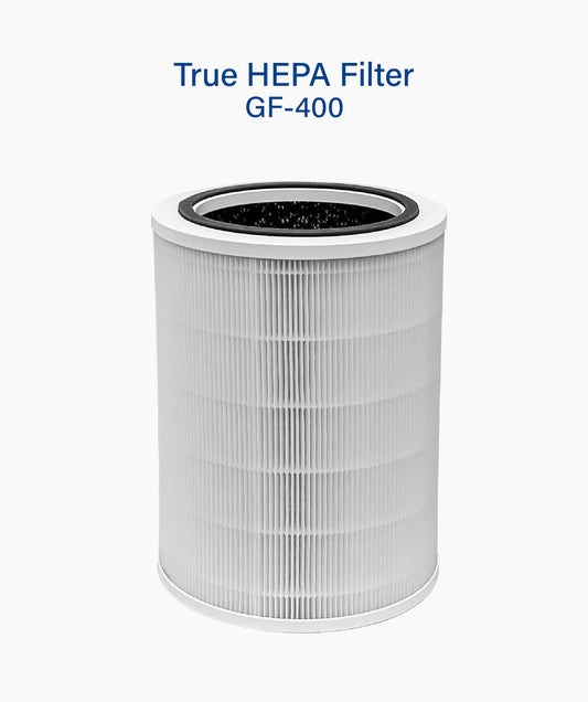 True Hepa Filter (GF-400)