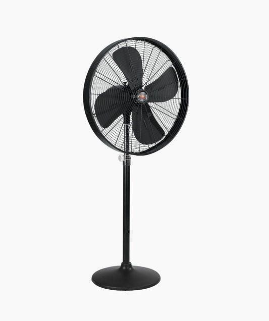 Designer With Round Base